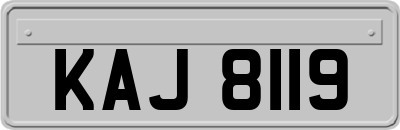 KAJ8119