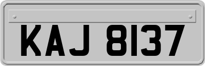 KAJ8137