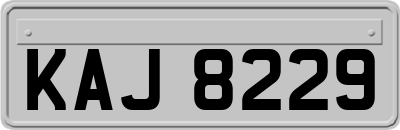 KAJ8229