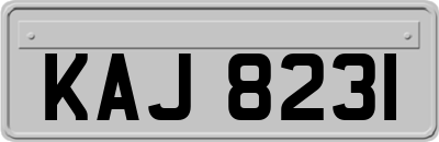 KAJ8231