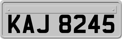 KAJ8245