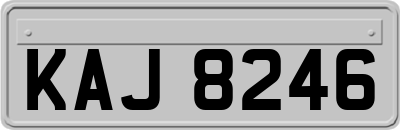 KAJ8246