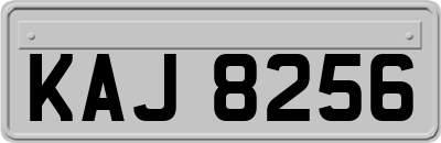 KAJ8256