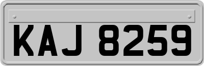 KAJ8259