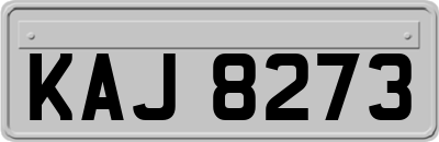 KAJ8273