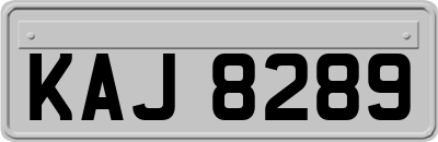 KAJ8289
