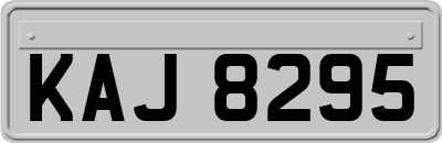 KAJ8295