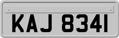 KAJ8341