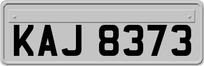 KAJ8373