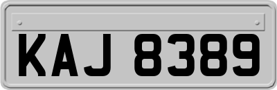 KAJ8389