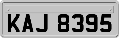 KAJ8395