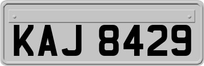 KAJ8429