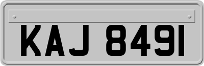 KAJ8491