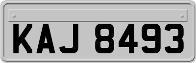 KAJ8493