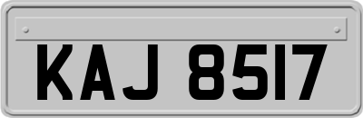 KAJ8517