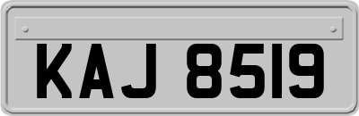 KAJ8519
