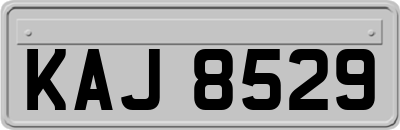 KAJ8529