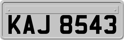 KAJ8543