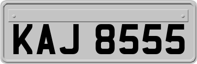 KAJ8555