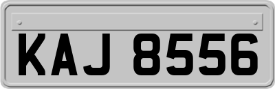 KAJ8556