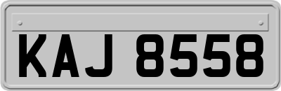 KAJ8558
