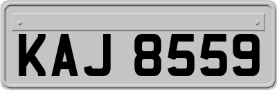 KAJ8559