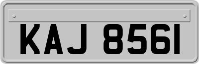KAJ8561