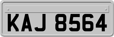 KAJ8564