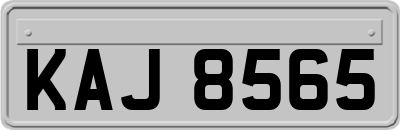 KAJ8565