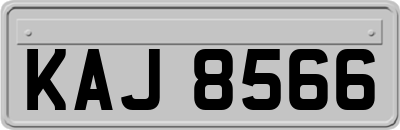 KAJ8566