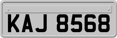 KAJ8568
