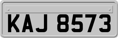 KAJ8573