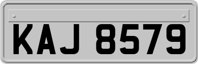 KAJ8579