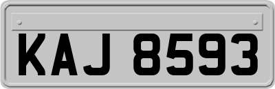 KAJ8593