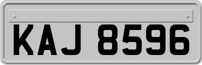 KAJ8596
