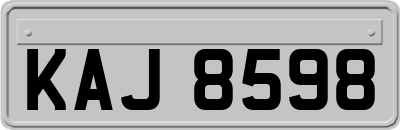 KAJ8598