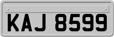 KAJ8599