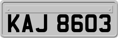 KAJ8603