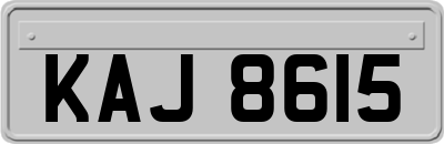 KAJ8615