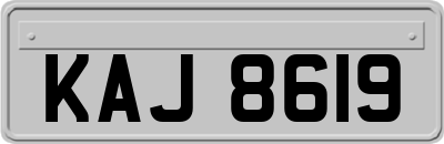 KAJ8619