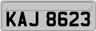 KAJ8623