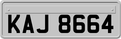 KAJ8664