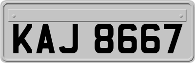 KAJ8667