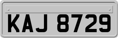 KAJ8729
