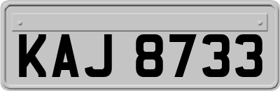 KAJ8733