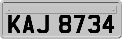 KAJ8734