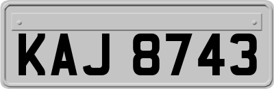 KAJ8743