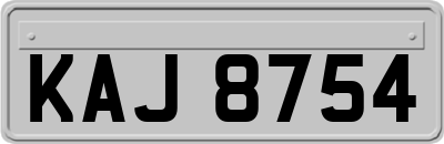 KAJ8754