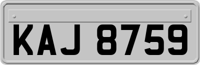 KAJ8759