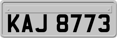 KAJ8773